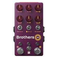Chase Bliss Audio Brothers AM