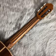 桜井 正毅 2025年製 PC-SR/松/インディアンローズ/640【640mm】_8