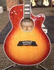 Takamine TSP178AC FCB  #58070594【実物写真】【福岡店在庫】【分割手数料0%】【送料当社負担】