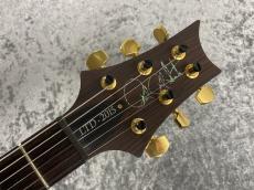 Paul Reed Smith [PRS] Wood Library P24 Trem -Charcoal Burst-_8