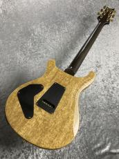 Paul Reed Smith [PRS] Wood Library P24 Trem -Charcoal Burst-_9