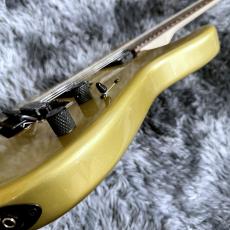 Charvel Pro-Mod San Dimas Style 1 HH FR RW Pharaohs Gold【特価】_10