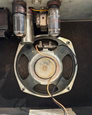 Fender 1979 Champ Silver Face_6