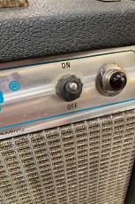 Fender 1979 Champ Silver Face_11