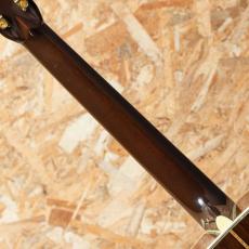 Martin D-45 Custom Tree of Life Shade Top 1986_7