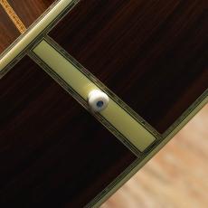 Martin D-45 Custom Tree of Life Shade Top 1986_10