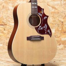 Gibson Hummingbird Special Natural