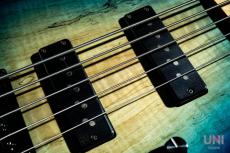 Provision Custom Order Bass_4