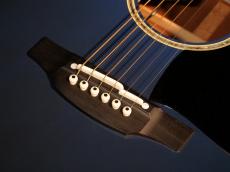 Takamine LTD 2021【限定リミテッドモデル”Blue Rose” USED市場にも滅多に出て来ない人気モデルが美品で入荷! お探しだった方はぜひご検討下さい。】_14