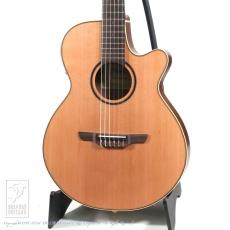 Takamine TSP148NC NS