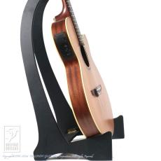 Takamine TSP148NC NS_3