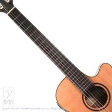 Takamine TSP148NC NS_5