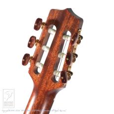Takamine TSP148NC NS_8