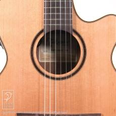 Takamine TSP148NC NS_11