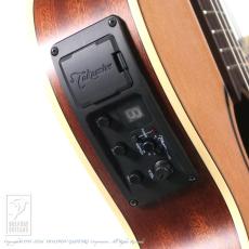Takamine TSP148NC NS_12