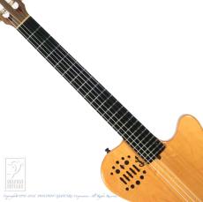 Godin Multiac ACS_5