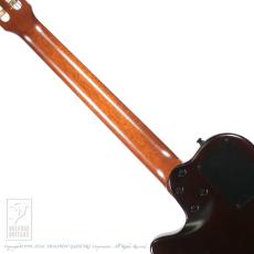 Godin Multiac ACS_6