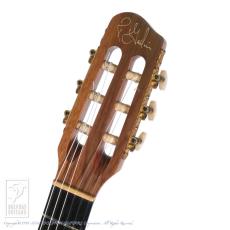 Godin Multiac ACS_7