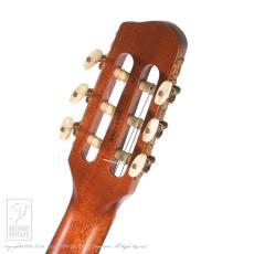Godin Multiac ACS_8