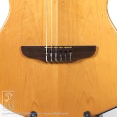 Godin Multiac ACS_10