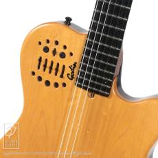 Godin Multiac ACS_11
