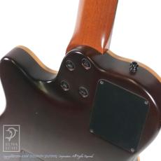 Godin Multiac ACS_12