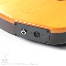 Godin Multiac ACS_13