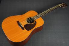 Martin D-18_10