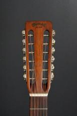 Martin D-12-20_6