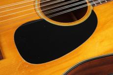 Martin D-12-20_12