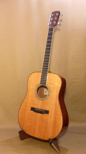 Larrivee D-05