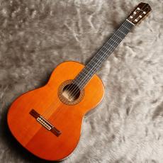 YAMAHA GC-10_2