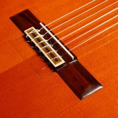 YAMAHA GC-10_3