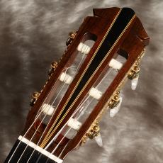 YAMAHA GC-10_7