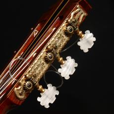 YAMAHA GC-10_8