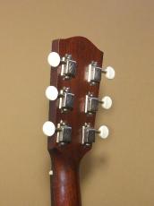 Eastman E20-SS_7