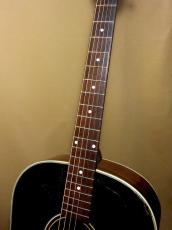 Eastman E20-SS_8