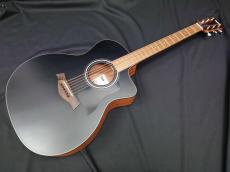 Taylor 114ce Blacktop Japan LTD_2