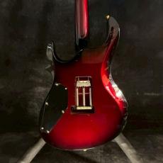 Edwards E-MAIDEN HIZAKIモデル【3.56kg】_5