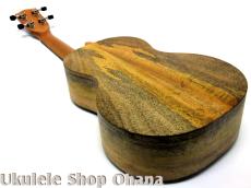 Pono [MGC-K] Kalele Series コンサート マンゴー単板_9