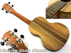 Pono [AC-K] Kalele Series コンサート アカシア単板_2