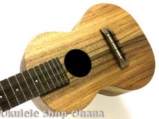 Pono [AC-K] Kalele Series コンサート アカシア単板_6
