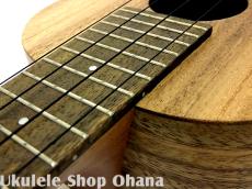 Pono [AC-K] Kalele Series コンサート アカシア単板_14