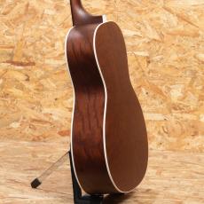 IRIS MS-00 12-Fret Limited w/Sarah Ryan Artwork_5