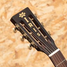 IRIS MS-00 12-Fret Limited w/Sarah Ryan Artwork_8