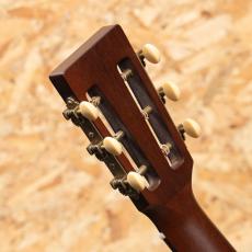 IRIS MS-00 12-Fret Limited w/Sarah Ryan Artwork_9