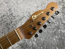 Charvel Pro-Mod So-Cal Style 2 24 HH 2PT CM Ash_6