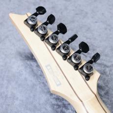 Ibanez RGA21P1PB 「DRL:Deep Twilight Burst Low Gloss」「現物写真」店頭展示品限りちょい傷特価_9