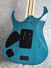 Ibanez HZK1 「HAZUKI (NEMOPHILA, KOIAI)」シグネーチャーモデル!!_3