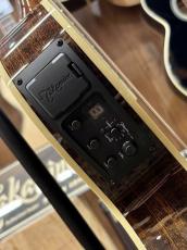 Takamine TSP138C BS_4